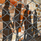 iStock